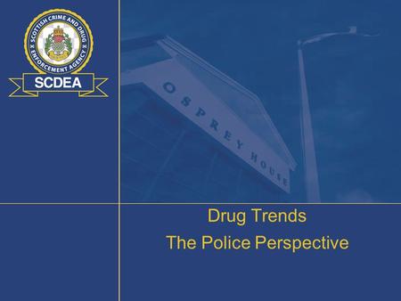 Drug Trends The Police Perspective. Global Picture - Opium 2007 Global Cultivation Afghanistan – 82% of world cultivation (92% of opium production) SE.