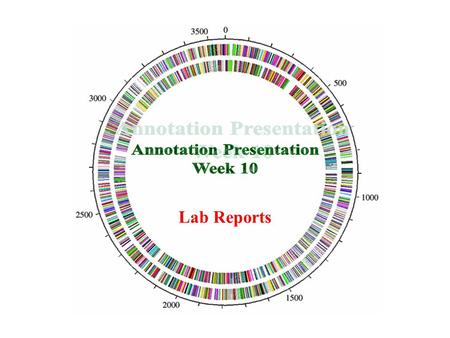 Lab Reports. Wrapping up IMG-ACT Genome Annotation Online notebook should be completed for all 3 genes Final reports are comprised of the imgACT online.