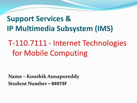 Support Services & IP Multimedia Subsystem (IMS)