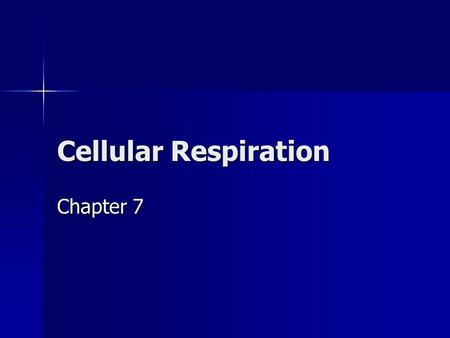 Cellular Respiration Chapter 7. Obtaining Food Autotrophs – producers – photosynthesis Autotrophs – producers – photosynthesis Heterotrophs – consumers.