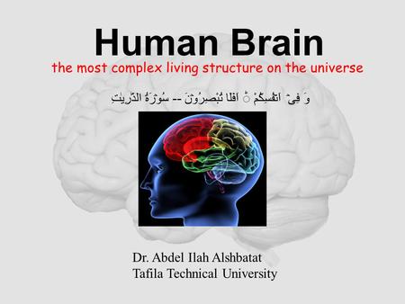 Human Brain the most complex living structure on the universe وَ فِیۡۤ اَنۡفُسِكُمْ اَفَلَا تُبْصِرُوۡنَ -- سُوۡرَۃُ الذّٰرِیٰتِ Dr. Abdel Ilah Alshbatat.