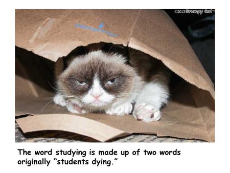 The word studying is made up of two words originally “students dying.”