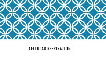 Cellular Respiration.