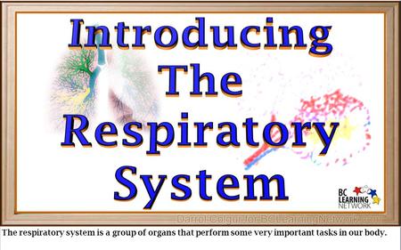The respiratory system is a group of organs that perform some very important tasks in our body.