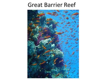 Great Barrier Reef. Red Sea Philippines Hawaii.