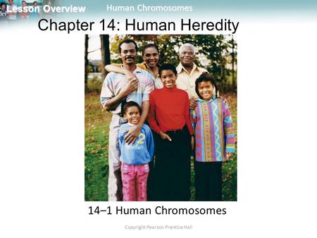 Lesson Overview Lesson Overview Human Chromosomes Copyright Pearson Prentice Hall 14–1 Human Chromosomes Chapter 14: Human Heredity.