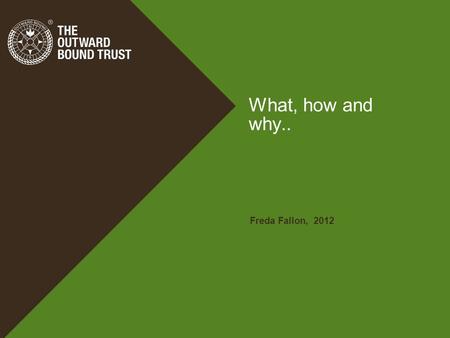 What, how and why.. Freda Fallon, 2012. Learning through Adventure.