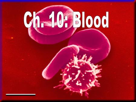 introduction to hematology powerpoint presentation