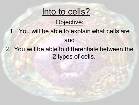 Into to cells? Objective: 1.You will be able to explain what cells are and 2. You will be able to differentiate between the 2 types of cells.