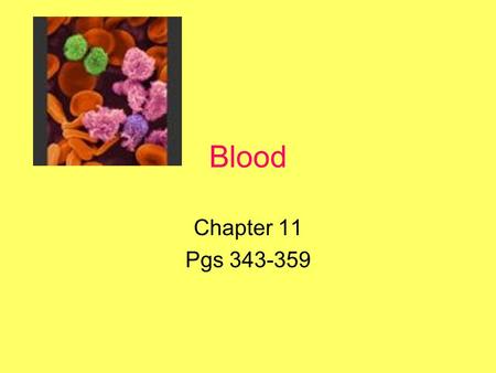 Blood Chapter 11 Pgs 343-359. Overview Functions of Blood Composition of Blood Plasma –Plasma proteins Formed Elements –Production of formed elements.