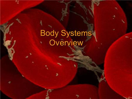 Body Systems Overview 1.