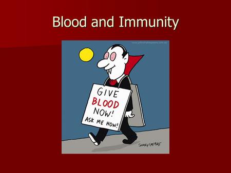 Blood and Immunity. The average person has about 5L blood -45% = blood cells -55% = fluid (plasma)