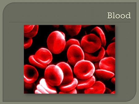 Combat infections Regulate body temperature Transport nutrients, oxygen and metabolic wastes.