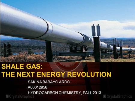 SHALE GAS: THE NEXT ENERGY REVOLUTION SAKINA BABAYO ARDO A00012956 HYDROCARBON CHEMISTRY, FALL 2013.