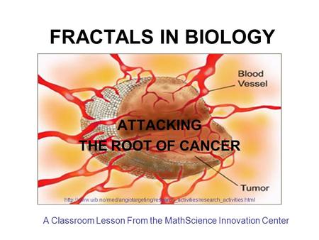 FRACTALS IN BIOLOGY ATTACKING THE ROOT OF CANCER  A Classroom Lesson From.