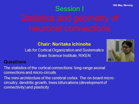 Session I Statistics and geometry of neuronal connections Chair: Noritaka Ichinohe Lab for Cortical Organization and Systematics Brain Science Institute,