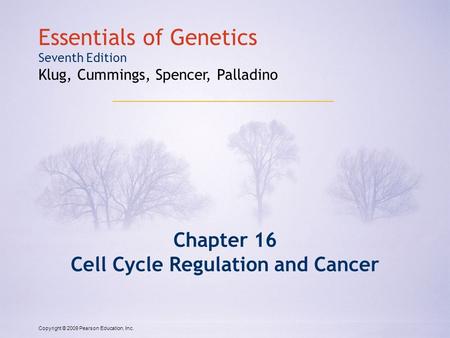 Copyright © 2009 Pearson Education, Inc. Essentials of Genetics Seventh Edition Klug, Cummings, Spencer, Palladino Chapter 16 Cell Cycle Regulation and.