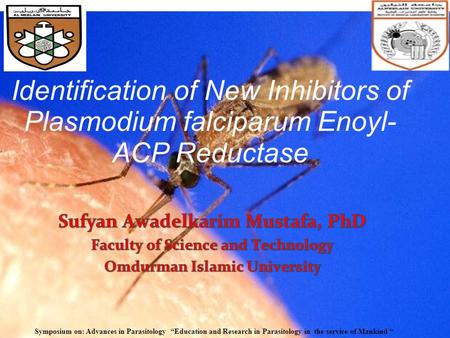 Identification of New Inhibitors of Plasmodium falciparum Enoyl- ACP Reductase Symposium on: Advances in Parasitology “Education and Research in Parasitology.