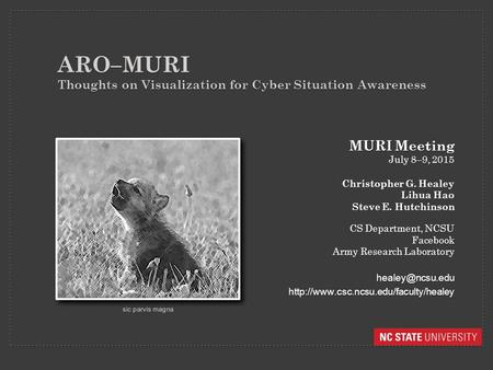 ARO–MURI Thoughts on Visualization for Cyber Situation Awareness MURI Meeting July 8–9, 2015 Christopher G. Healey Lihua Hao Steve E. Hutchinson CS Department,