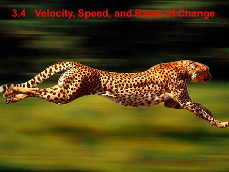 3.4 Velocity, Speed, and Rates of Change. downward -256 2, 8.