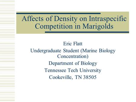 Affects of Density on Intraspecific Competition in Marigolds Eric Flatt Undergraduate Student (Marine Biology Concentration) Department of Biology Tennessee.