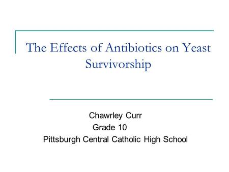 The Effects of Antibiotics on Yeast Survivorship