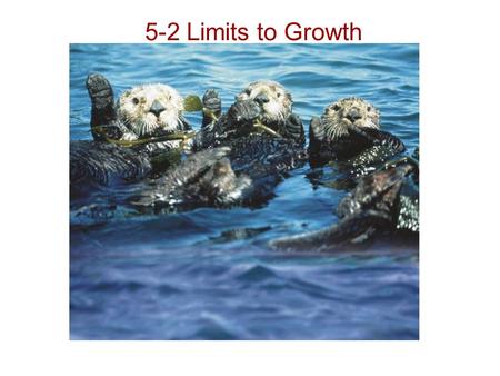 5-2 Limits to Growth. Limiting Factors The primary productivity of an ecosystem can be reduced when there is an insufficient supply of a particular nutrient.