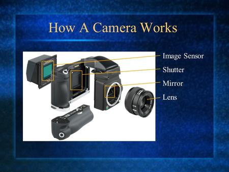 How A Camera Works Image Sensor Shutter Mirror Lens.