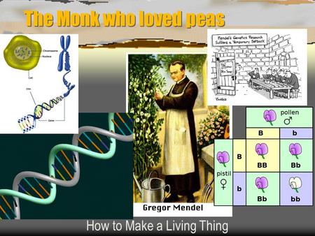 The Monk who loved peas How to Make a Living Thing.