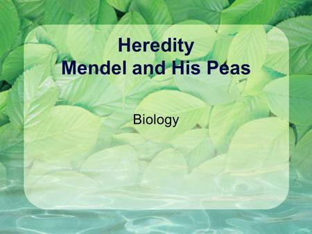 Heredity Mendel and His Peas Biology. First, Let’s Review! Sexual Reproduction Process of a sperm fertilizing an egg Gametes Sex cells (eggs, sperm)