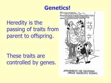 Genetics! Heredity is the passing of traits from parent to offspring.