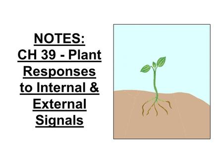 NOTES: CH 39 - Plant Responses to Internal & External Signals