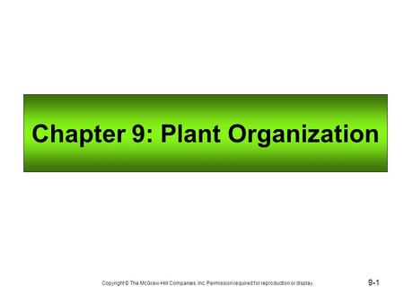 Chapter 9: Plant Organization