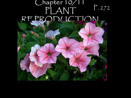 Chapter 10/11 PLANT REPRODUCTION P. 272 Growing Seasons: 1) annual -lives one growing season. ex. petunia ex. marigold.