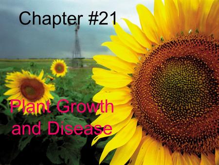 Plant Growth and Disease
