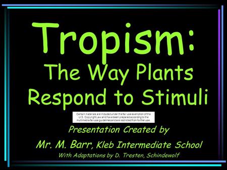 Tropism: The Way Plants Respond to Stimuli