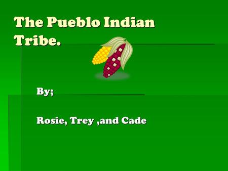 The Pueblo Indian Tribe. By; Rosie, Trey,and Cade.