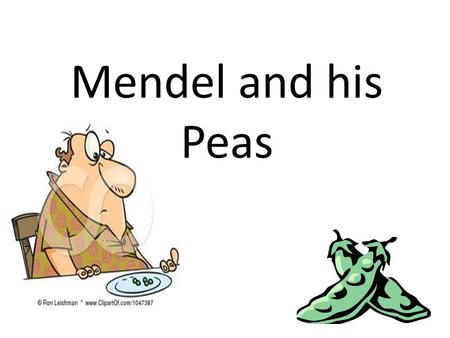 Mendel and his Peas.
