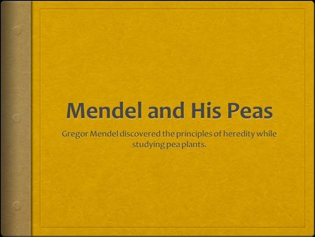 Gregor Mendel  Austrian scientist who discovered basic ideas of heredity while working with the pea plant.