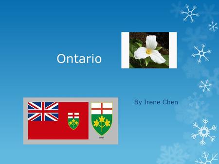 Ontario By Irene Chen Provincial Flag The provincial flag of Ontario.