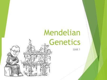 Mendelian Genetics Unit 1. Genetics  Science that deals with the structure & function of genes and their transmission from one generation to the next.