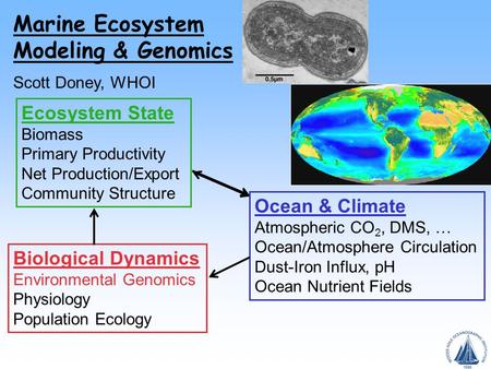 Ocean & Climate Atmospheric CO 2, DMS, … Ocean/Atmosphere Circulation Dust-Iron Influx, pH Ocean Nutrient Fields Ecosystem State Biomass Primary Productivity.