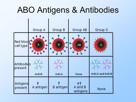 ABO Antigens & Antibodies