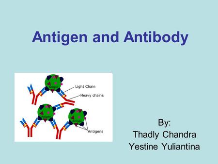 Antigen and Antibody By: Thadly Chandra Yestine Yuliantina.