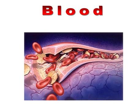 White blood cells Platelets Red blood cells Artery.