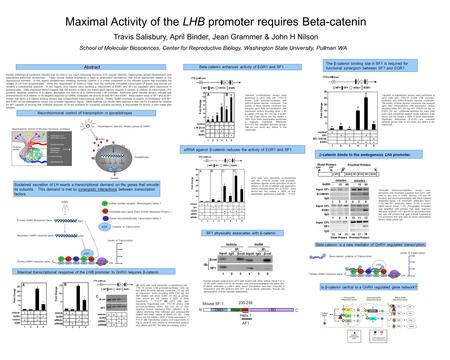 Abstract Maximal Activity of the LHB promoter requires Beta-catenin Travis Salisbury, April Binder, Jean Grammer & John H Nilson School of Molecular Biosciences,