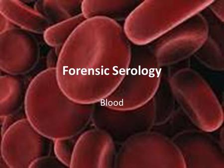 Forensic Serology Blood. What Exactly is BLOOD?? Fluid portion of blood= PLASMA – Primarily water and is 55% of the blood Suspended in the plasma are.