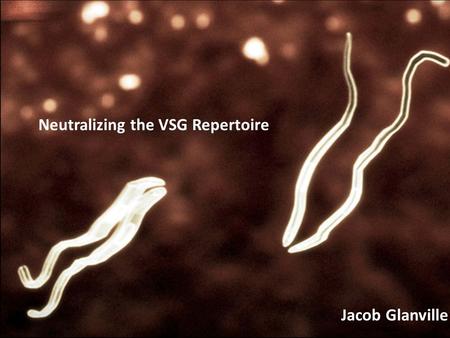 Jacob Glanville Neutralizing the VSG Repertoire. Trypanosoma brucei and the Variable Surface Glycoprotein (VSG)