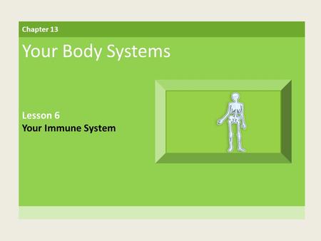 Chapter 13 Your Body Systems Lesson 6 Your Immune System.