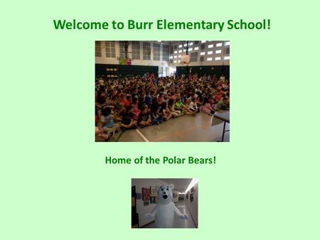 Welcome to Burr Elementary School! Home of the Polar Bears!